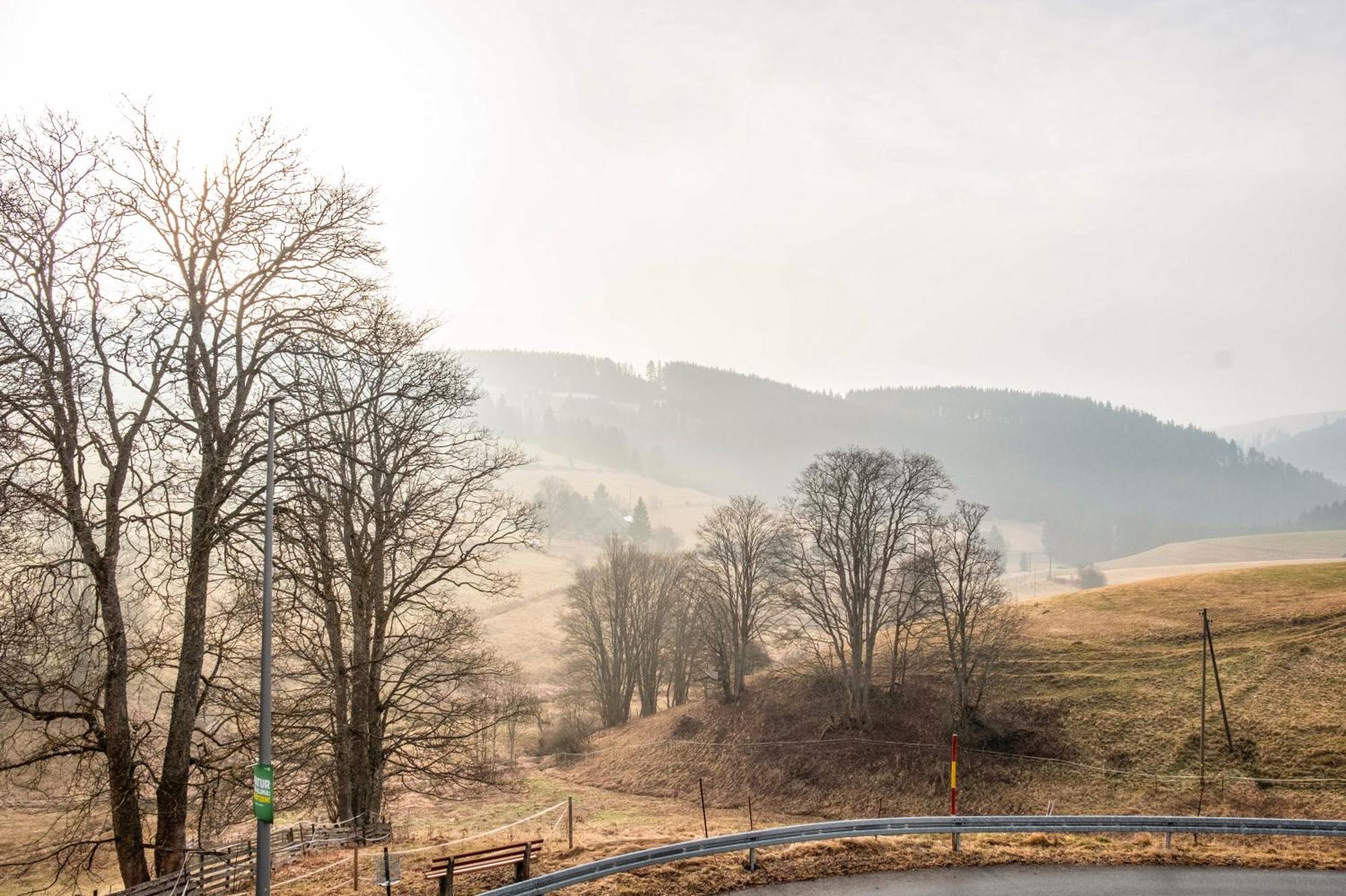 Ferienwohnung Beim Pauli Titisee-Neustadt Exteriör bild